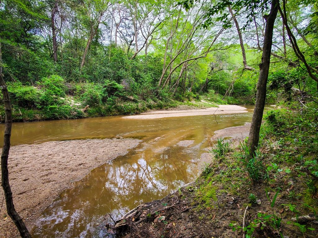 TBD Scott Gardner Road, New Caney, Texas image 4