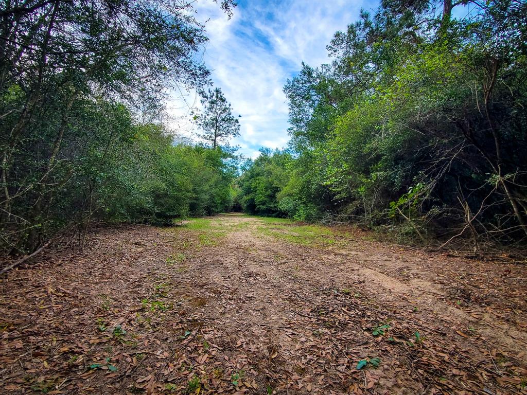 TBD Scott Gardner Road, New Caney, Texas image 8