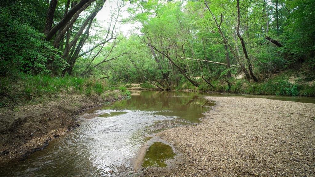 TBD Scott Gardner Road, New Caney, Texas image 30