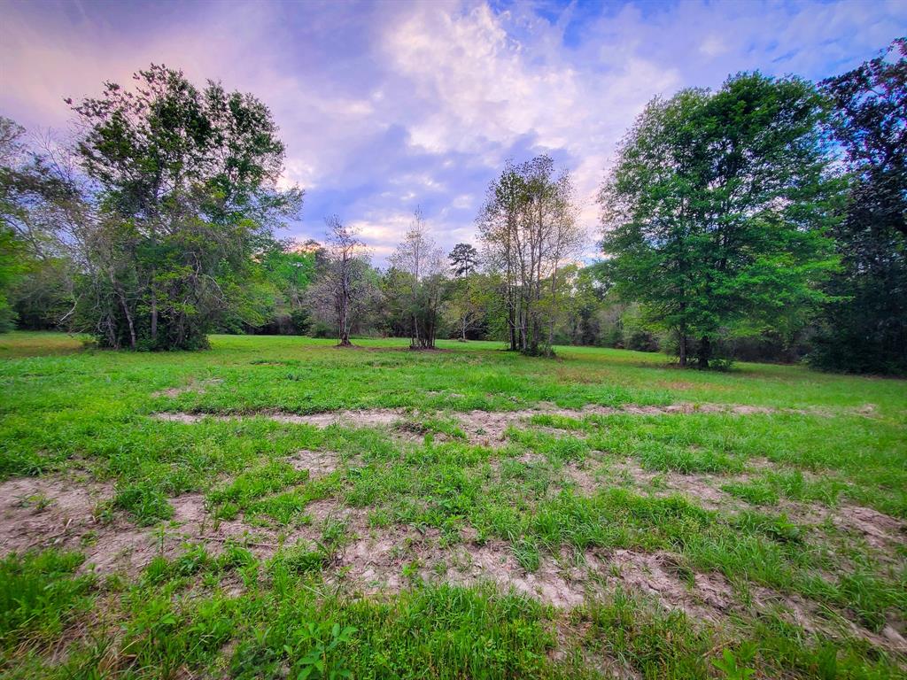 TBD Scott Gardner Road, New Caney, Texas image 3