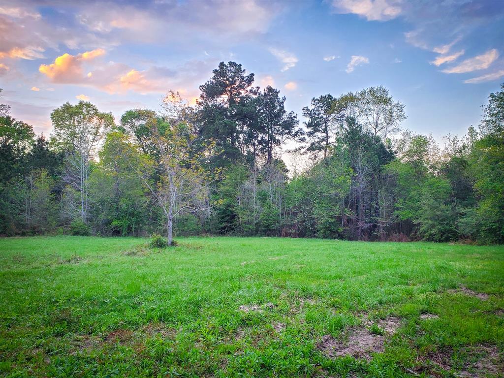 TBD Scott Gardner Road, New Caney, Texas image 1