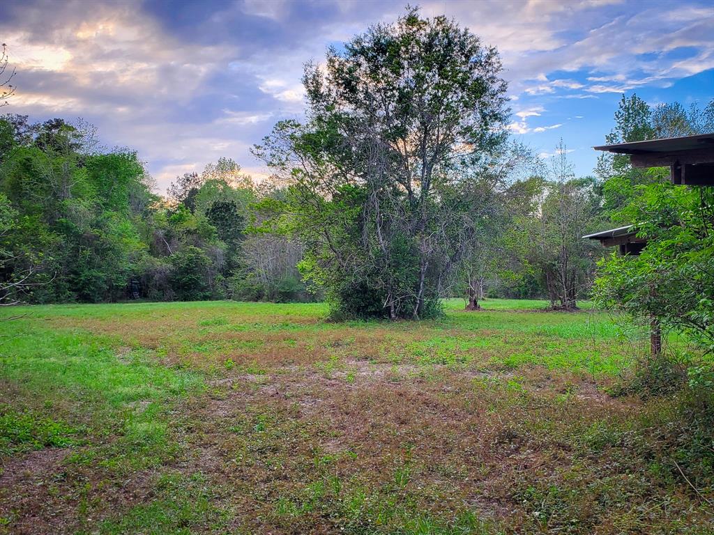 TBD Scott Gardner Road, New Caney, Texas image 19