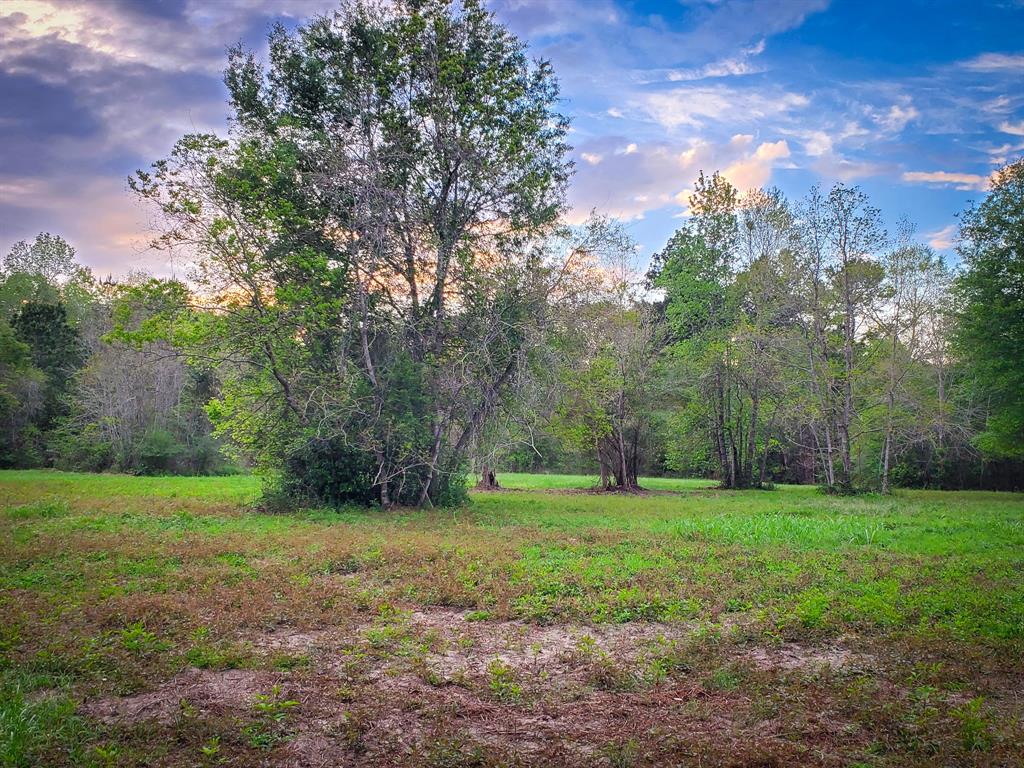 TBD Scott Gardner Road, New Caney, Texas image 39