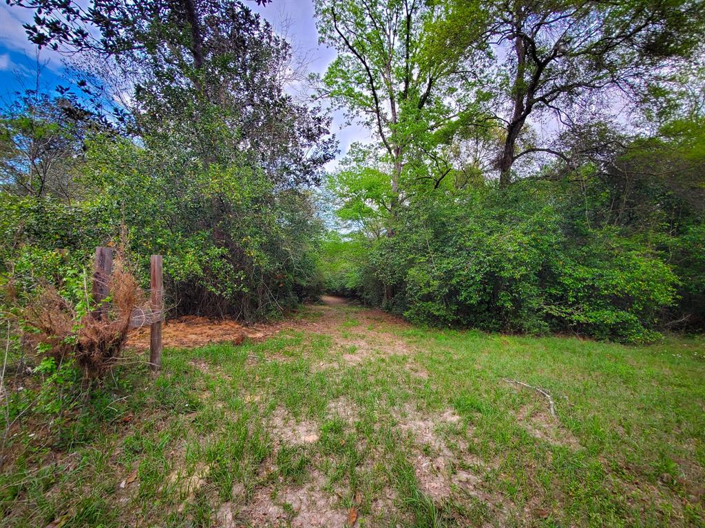 TBD Scott Gardner Road, New Caney, Texas image 14