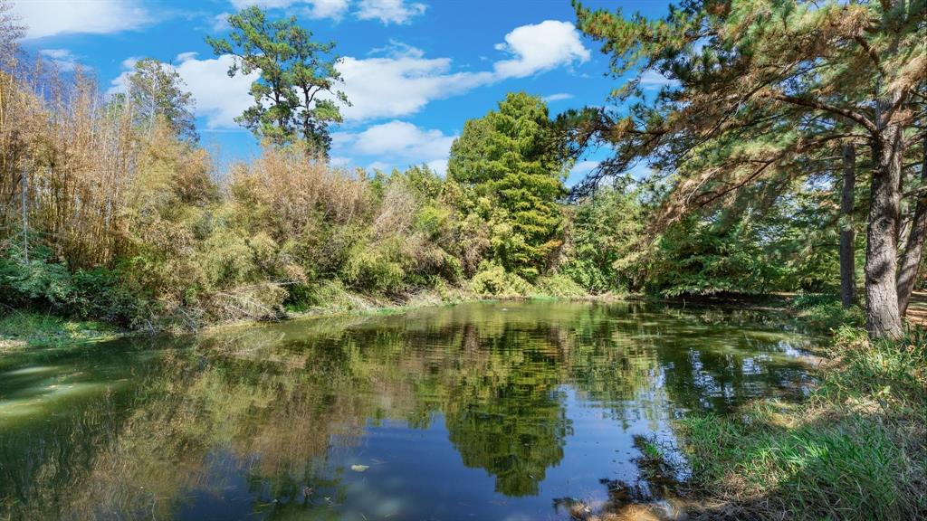 30223 Hazy Hollow Road, Magnolia, Texas image 34