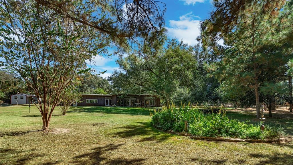 30223 Hazy Hollow Road, Magnolia, Texas image 35