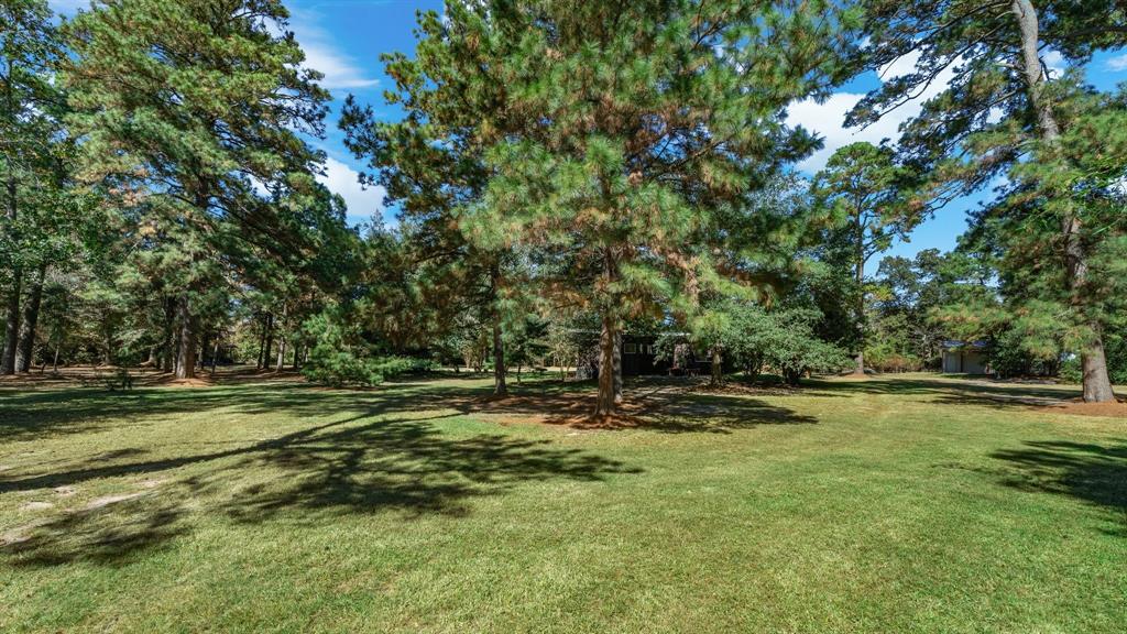 30223 Hazy Hollow Road, Magnolia, Texas image 4