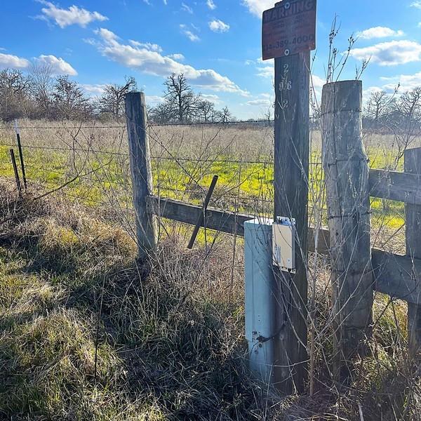 TBD County Road 233, Centerville, Texas image 8