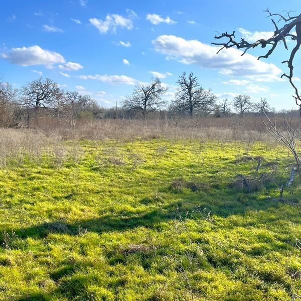 TBD County Road 233, Centerville, Texas image 2