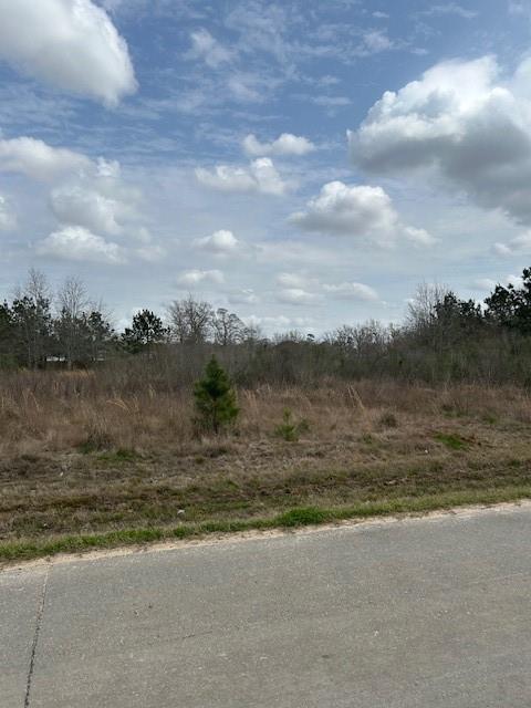 195 County Road 3581, Cleveland, Texas image 3