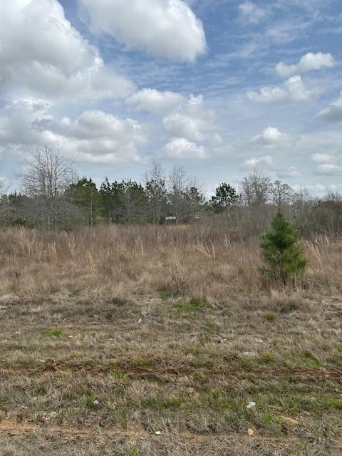 195 County Road 3581, Cleveland, Texas image 6