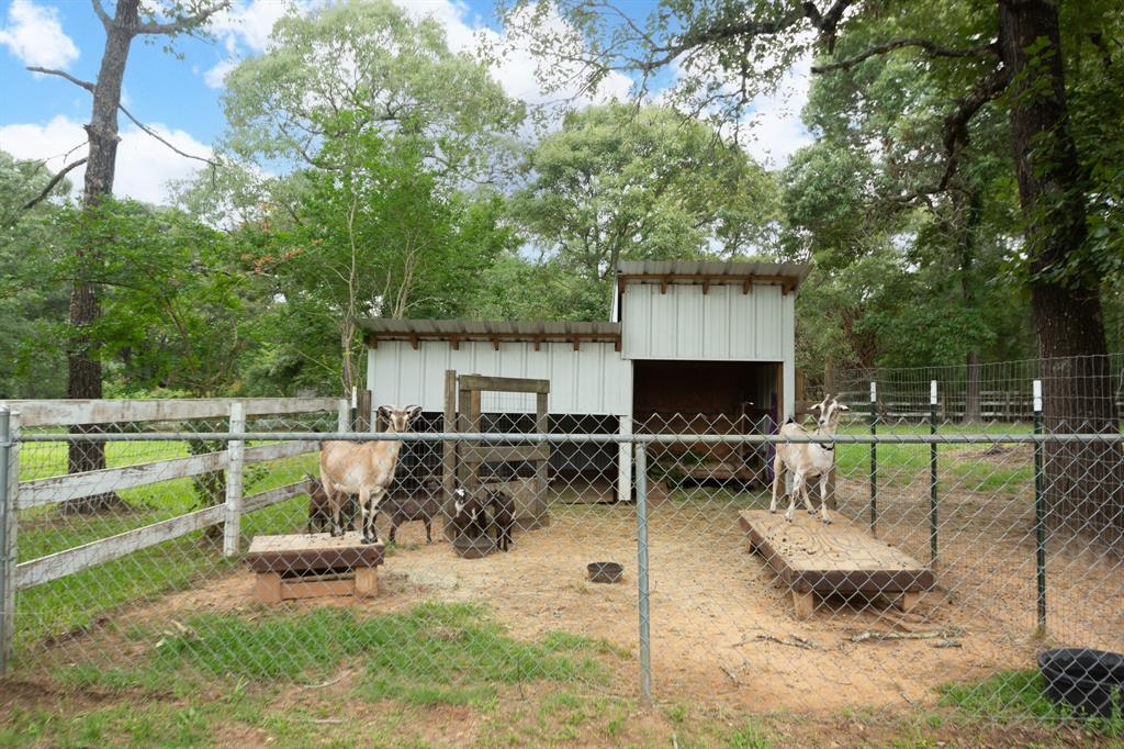 245 Greenbriar Drive, Magnolia, Texas image 36