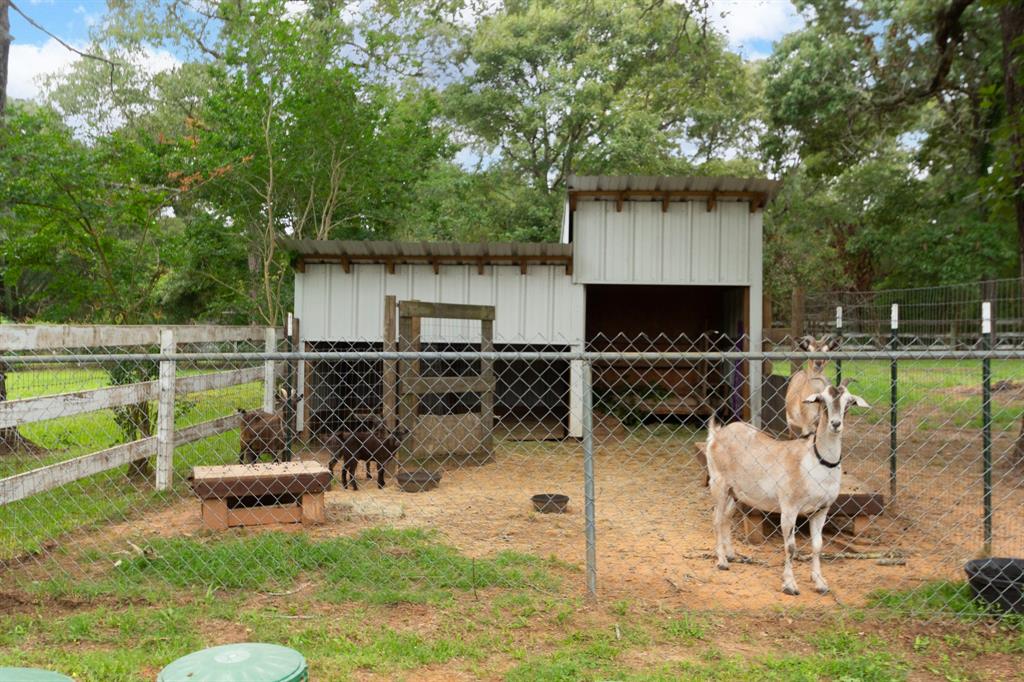 245 Greenbriar Drive, Magnolia, Texas image 35