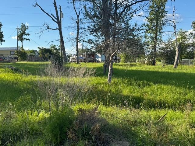 189 Laurel Cove, Onalaska, Texas image 29