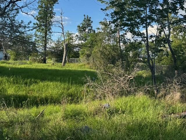 189 Laurel Cove, Onalaska, Texas image 28