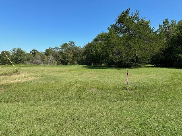 Gaines Corner, Brazoria, Texas image 6