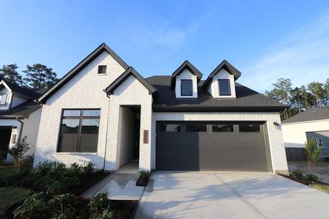 483 Audubons Shearwater Way Magnolia TX 77354