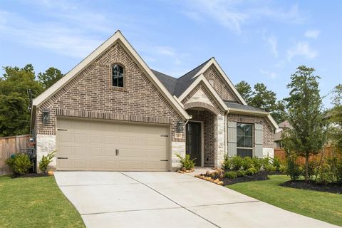 228 West Netleaf Court Montgomery TX 77316