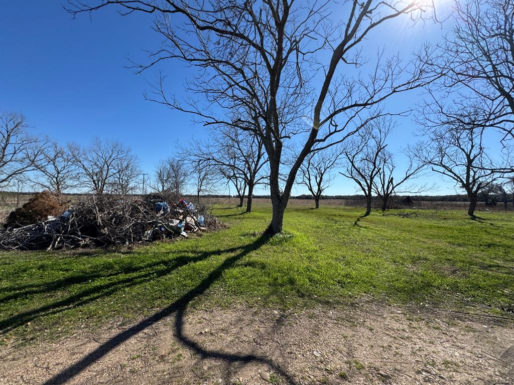 7181 Fm 1300 Road, Louise, Texas image 3