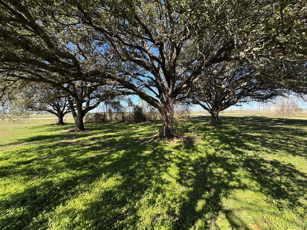 7181 Fm 1300 Road, Louise, Texas image 6