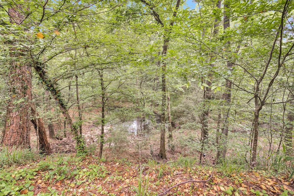 24614 Spruce, Huntsville, Texas image 46
