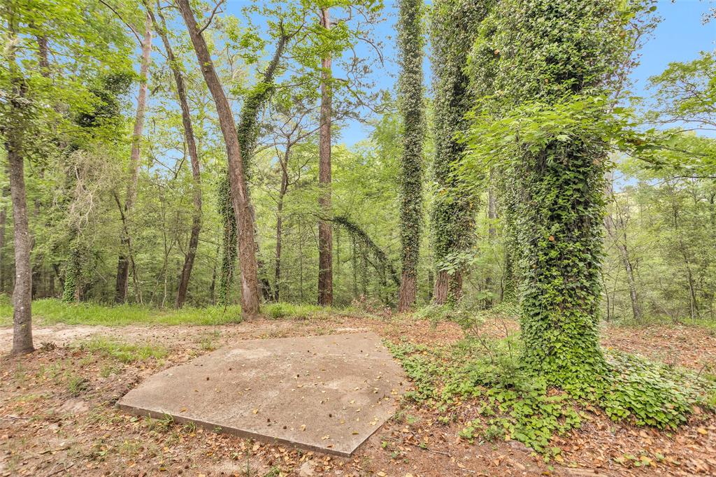24614 Spruce, Huntsville, Texas image 44