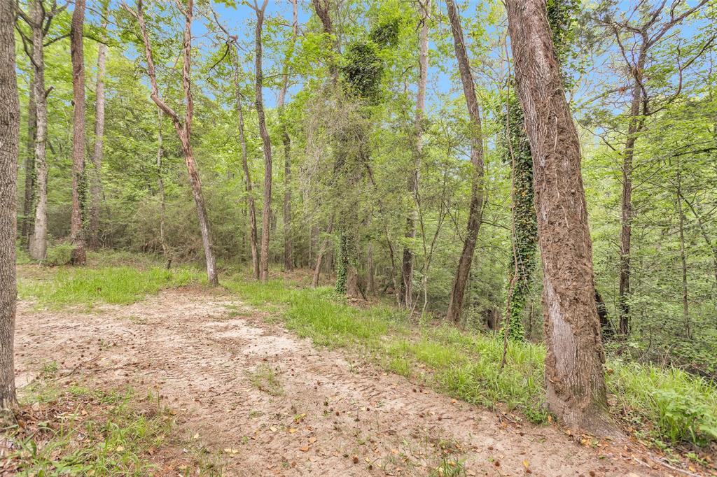 24614 Spruce, Huntsville, Texas image 45