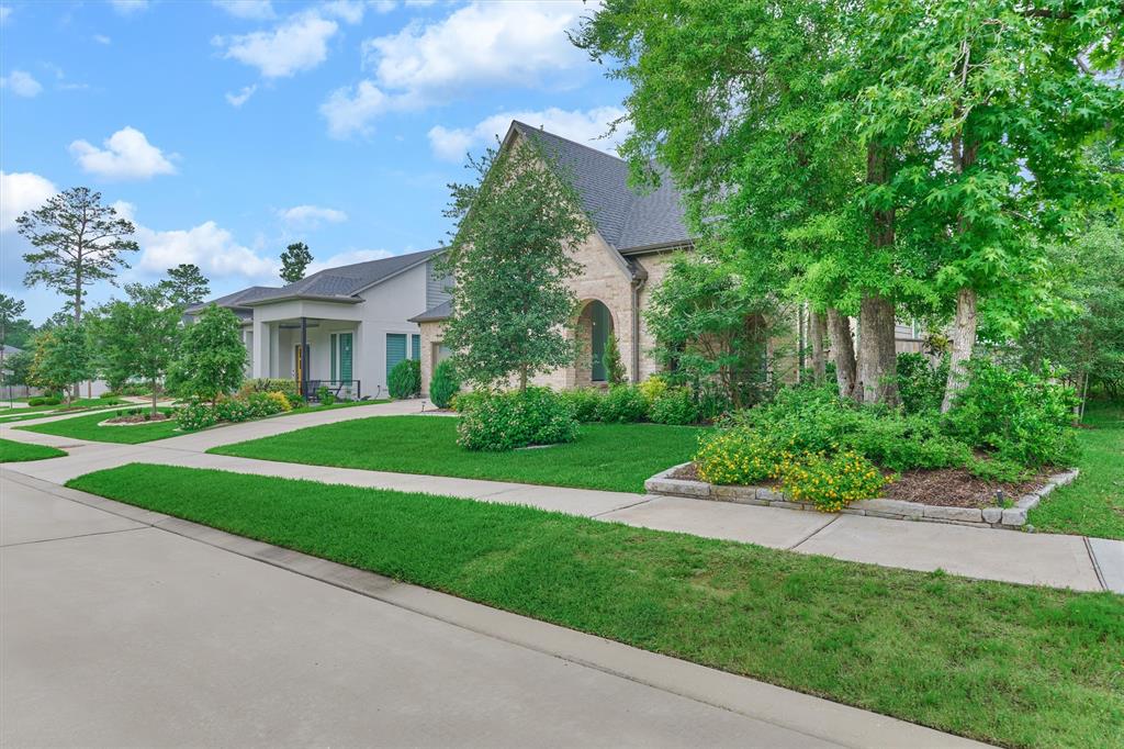110 S Ocotillo Ridge, Montgomery, Texas image 6