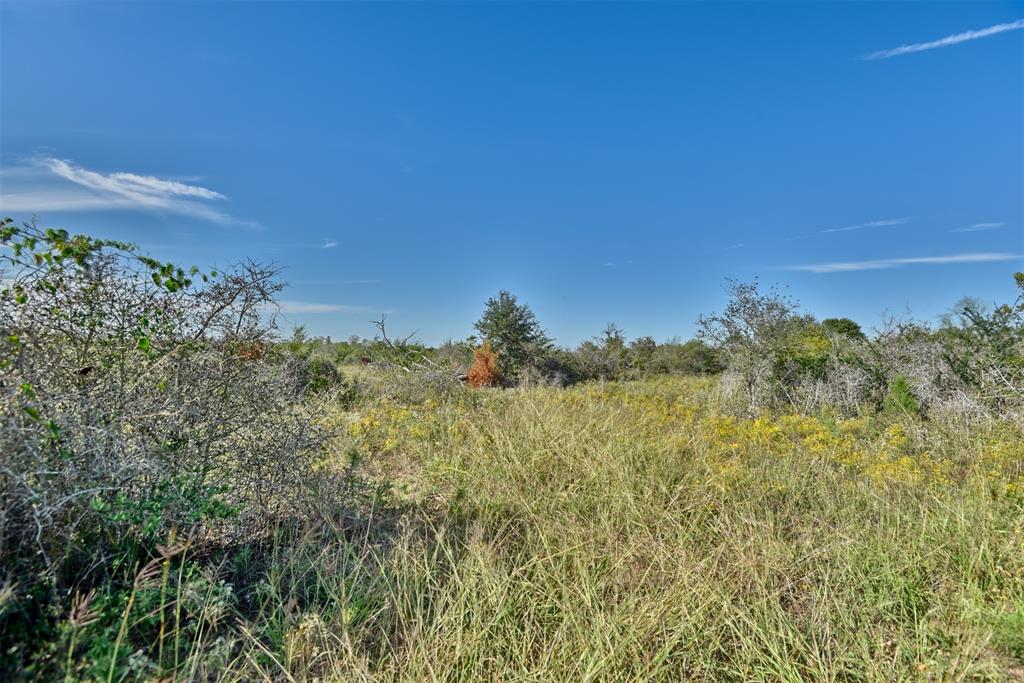 111 Red Stag Lane, Columbus, Texas image 33