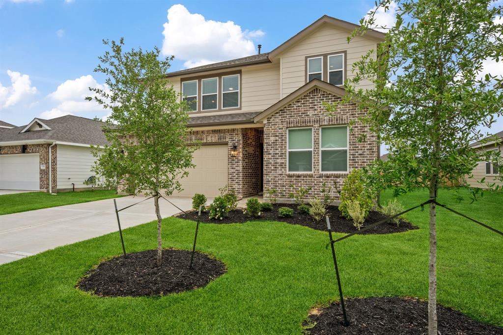 228 Little Spring Court, Anahuac, Texas image 3