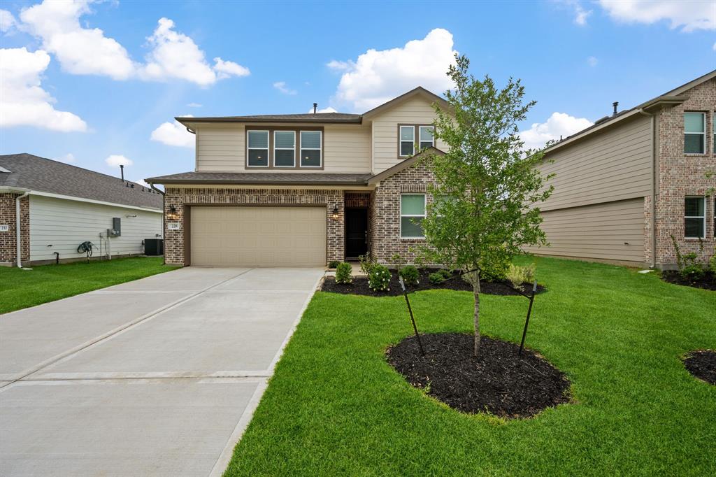 228 Little Spring Court, Anahuac, Texas image 2