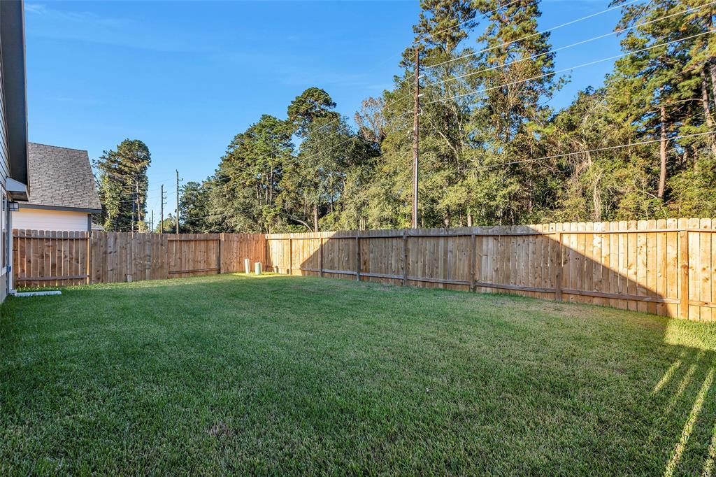 25062 Lindsey Lane Ln, Magnolia, Texas image 10