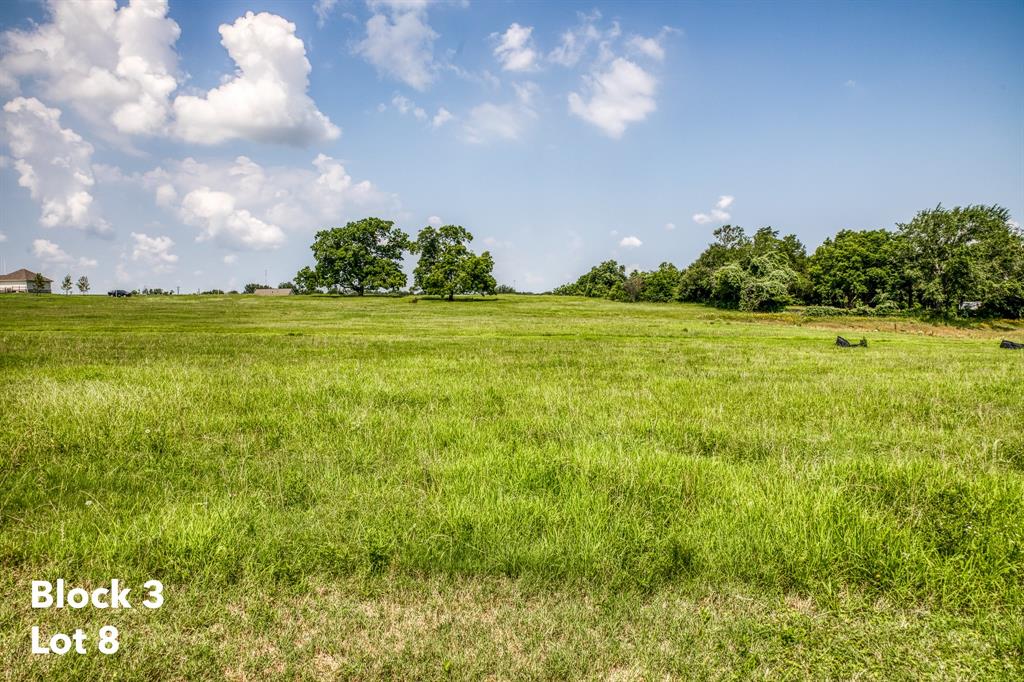 2412 Oak Hollow Lane, Brenham, Texas image 1