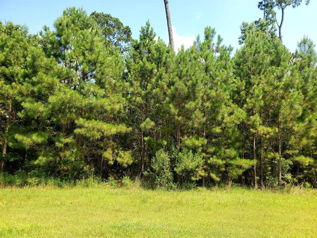 117 Kings Lake Estates Boulevard, Humble, Texas image 1