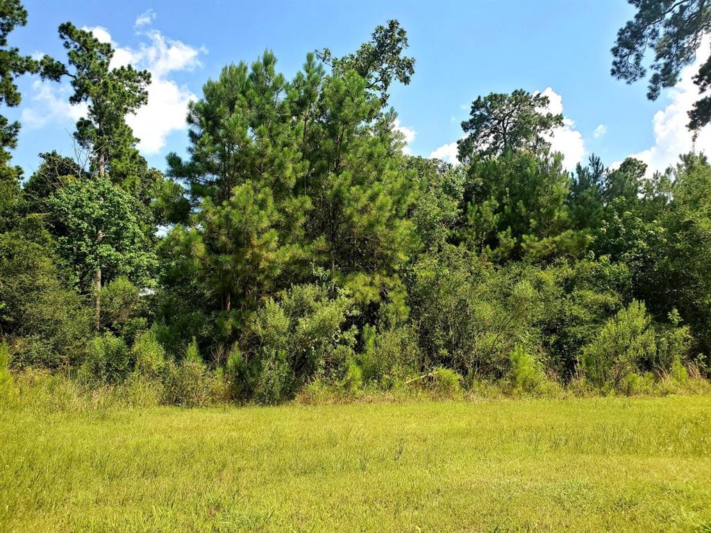 117 Kings Lake Estates Boulevard, Humble, Texas image 2