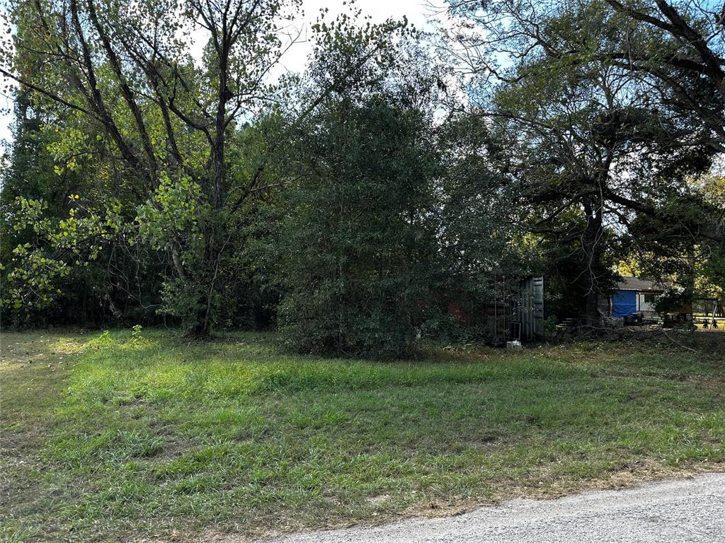 27700 Knoll Acres Blank, New Caney, Texas image 2