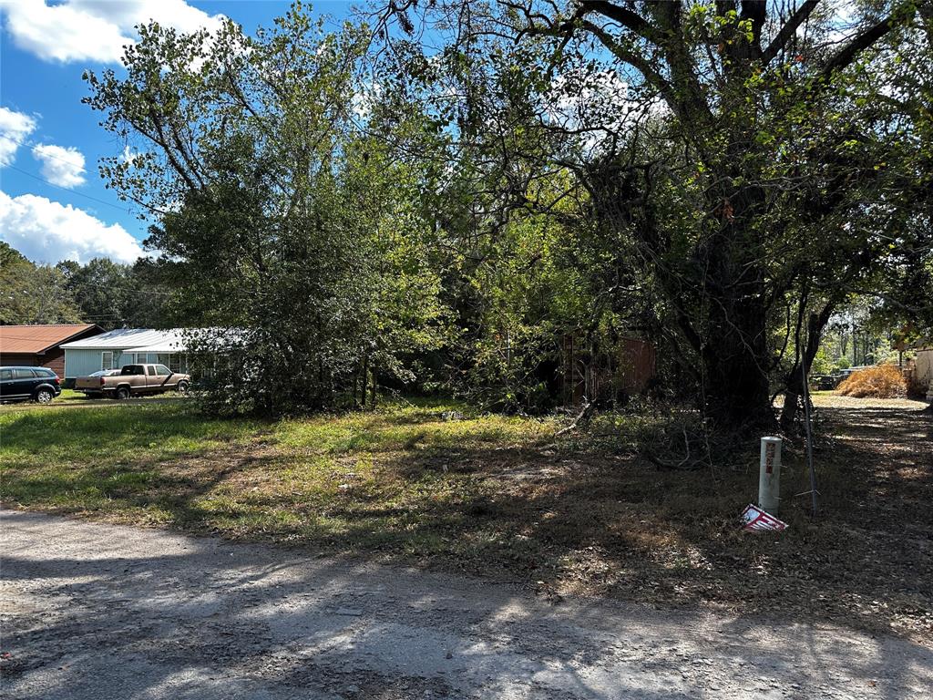 27700 Knoll Acres Blank, New Caney, Texas image 1