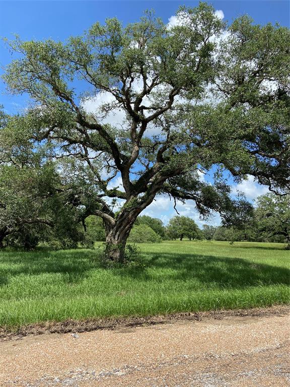 45 Center Tree Drive, Palacios, Texas image 4