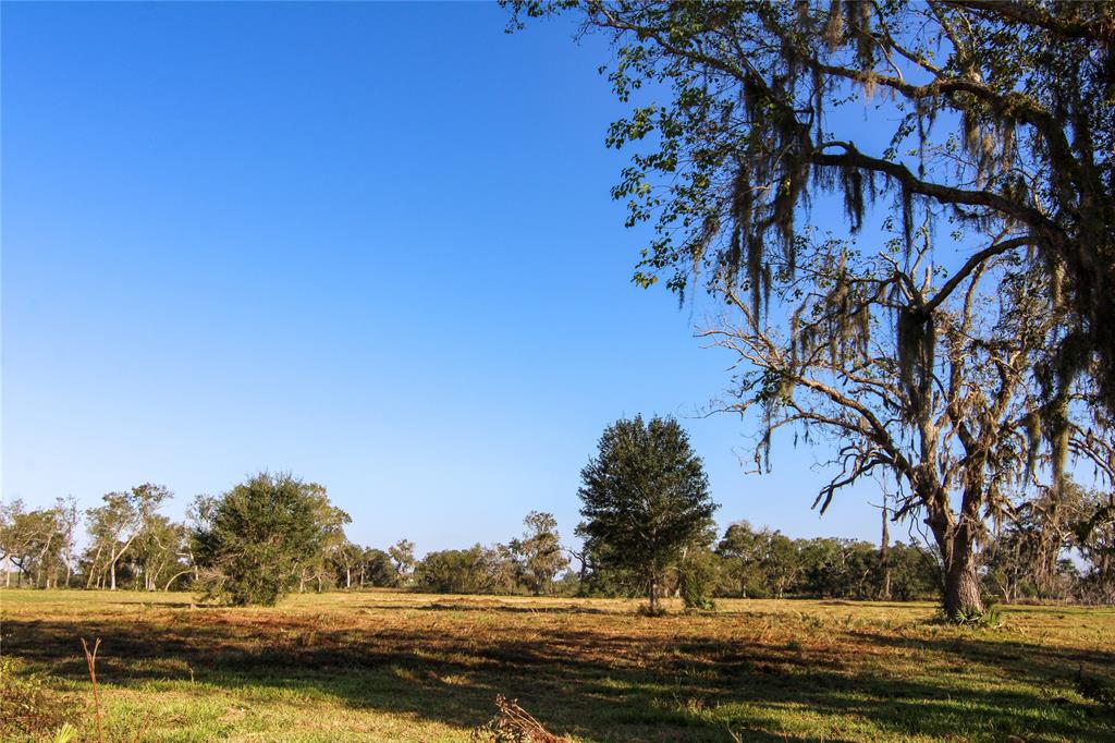 0000 County Road 348, Brazoria, Texas image 1