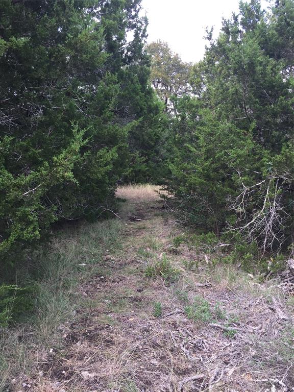 857 Rutherford, Fischer, Texas image 6