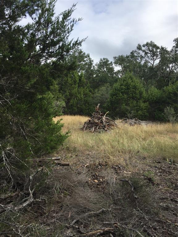 857 Rutherford, Fischer, Texas image 5
