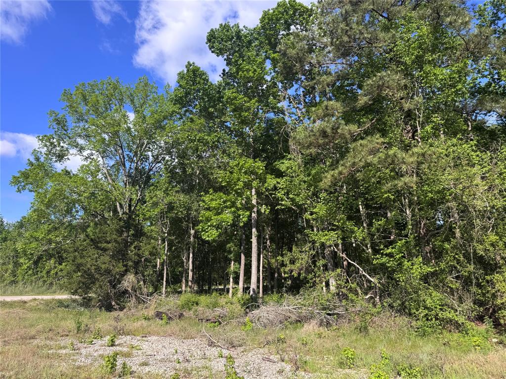 TBD N Railroad Avenue, Shepherd, Texas image 14