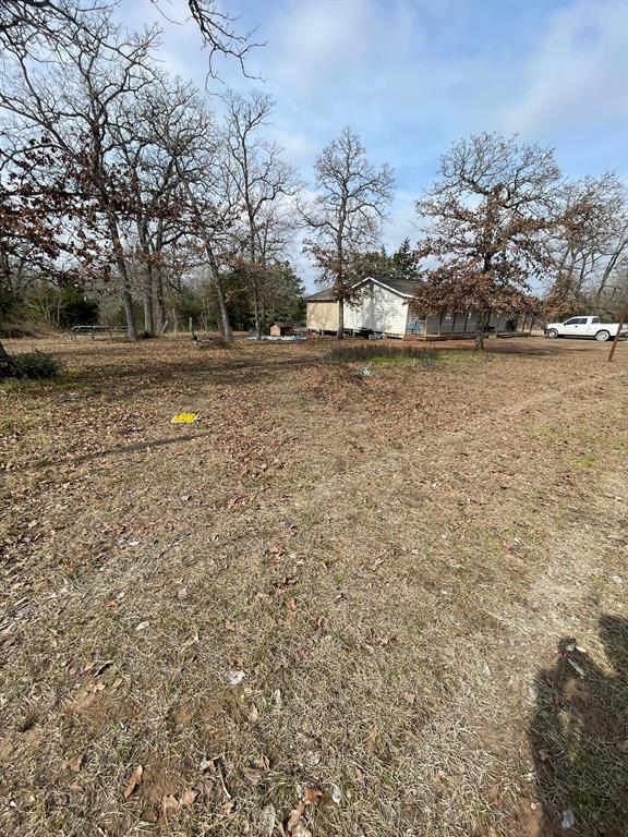 26113 Tyler Park, Bedias, Texas image 3