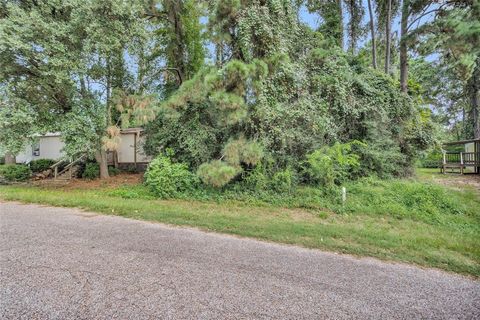 Photo of 16822 W Dounreay, Montgomery, TX 77316 (MLS # 72771300)