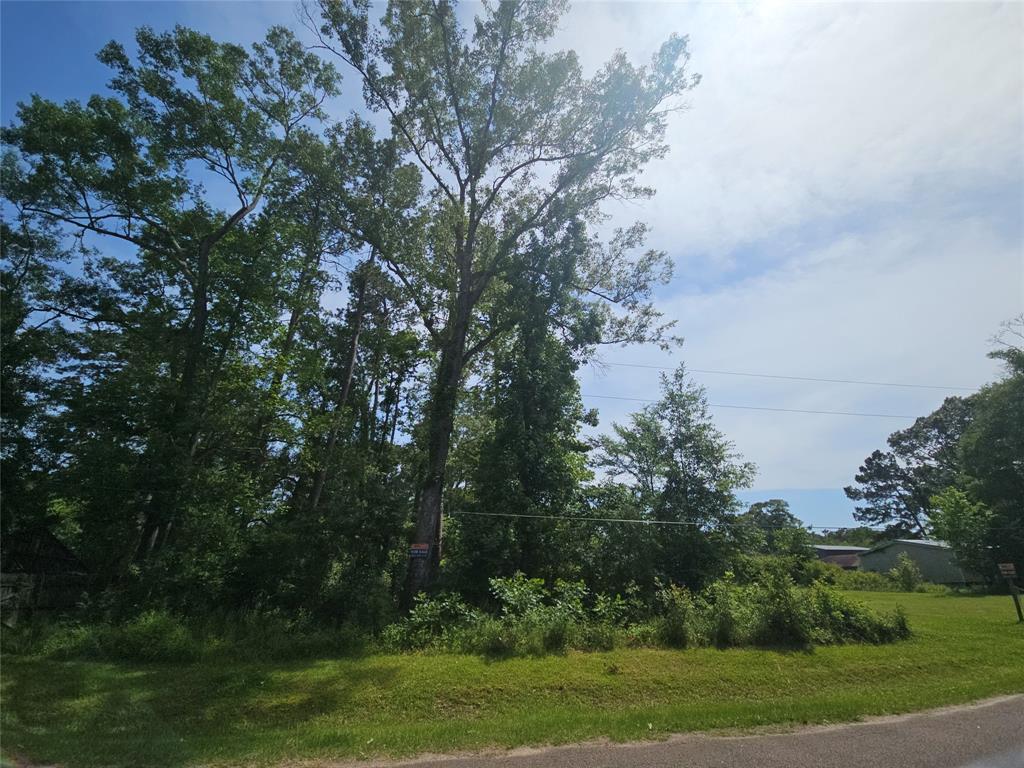 Burning Tree Lane, New Caney, Texas image 5