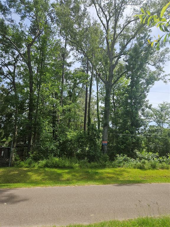 Burning Tree Lane, New Caney, Texas image 6