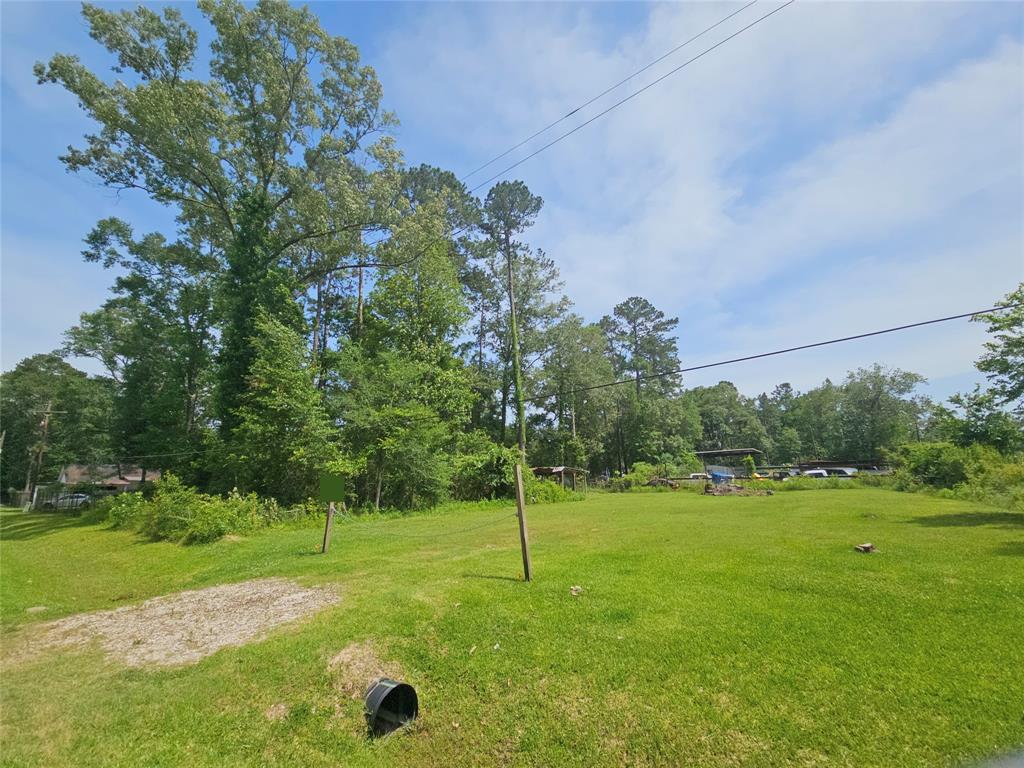 Burning Tree Lane, New Caney, Texas image 7