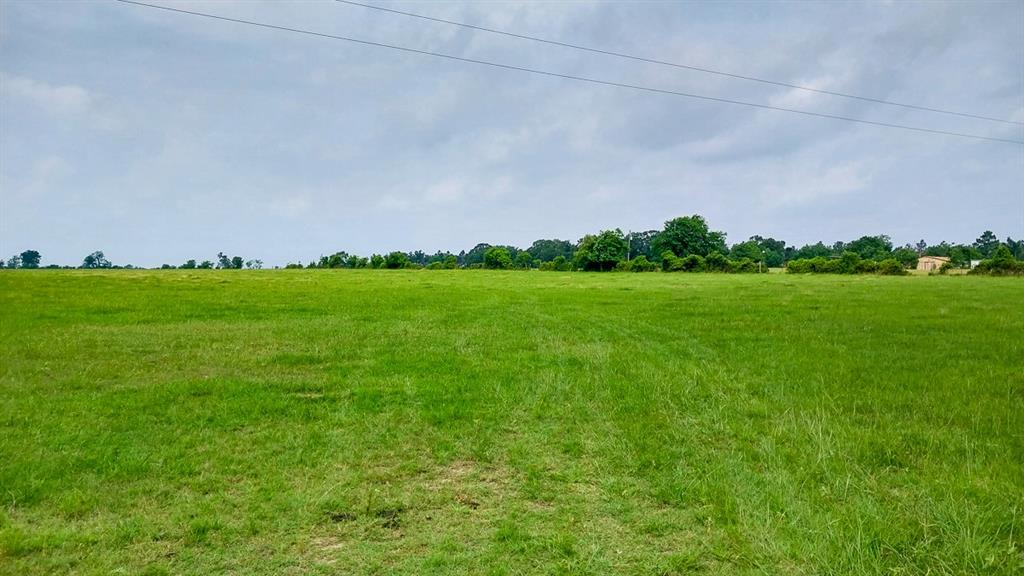 1 County Road 3465, Lovelady, Texas image 6