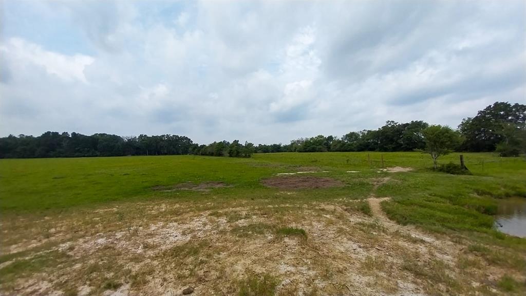 1 County Road 3465, Lovelady, Texas image 17