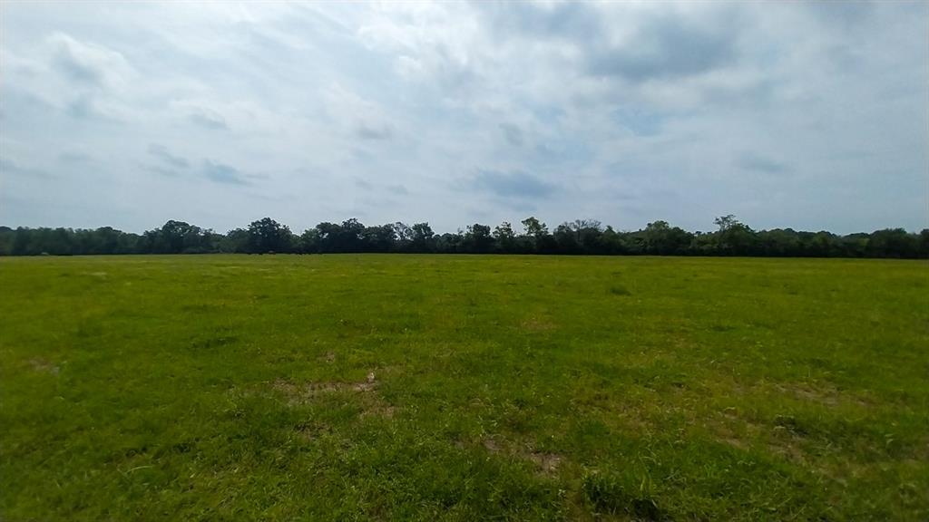 1 County Road 3465, Lovelady, Texas image 8